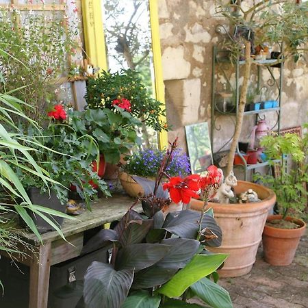 Les Petites Mirabelles Bed and Breakfast Noyers-sur-Cher Eksteriør billede