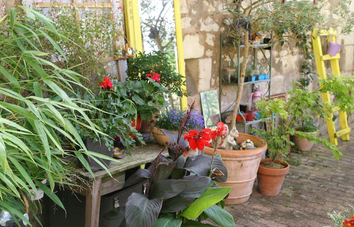 Les Petites Mirabelles Bed and Breakfast Noyers-sur-Cher Eksteriør billede